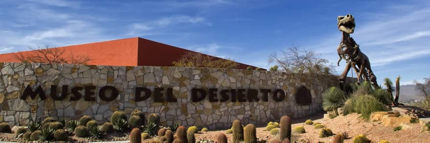 Museo del Desierto
