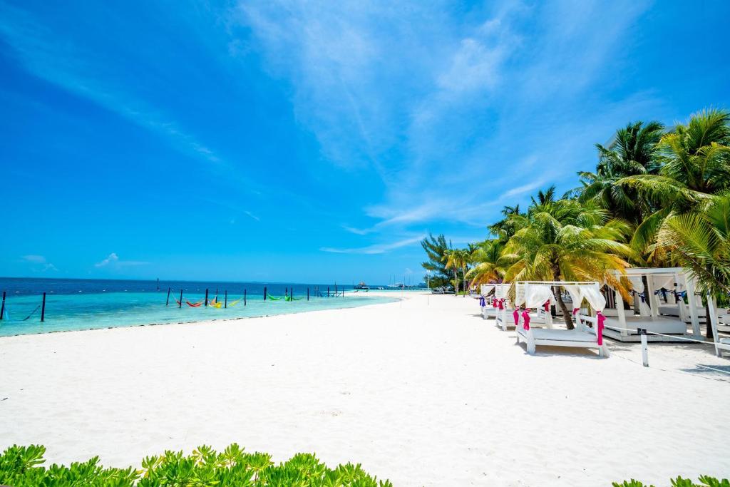 Oh! Cancun - The Urban Oasis & Beach Club