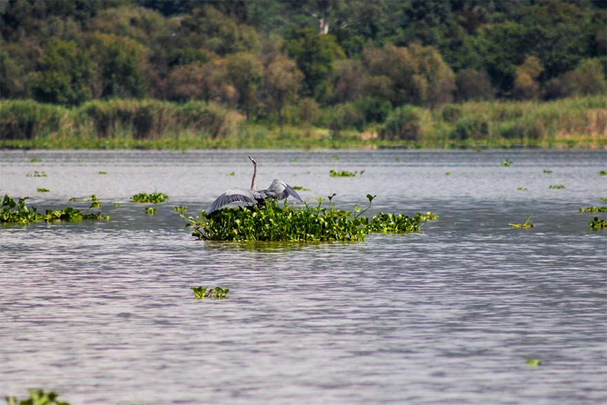 Lago de Patzcuaro Michoacan