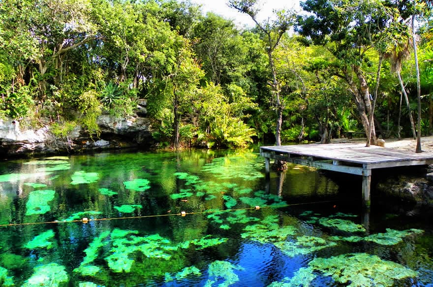 Cenote Cristalino, Cenotes Riviera Maya
