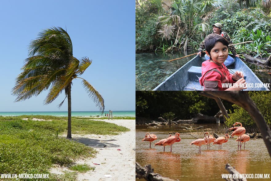 Sisal Yucatán, Playas de Yucatán