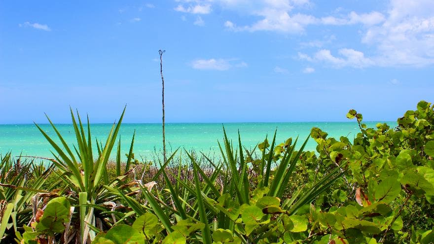 Playa de Las Coloradas en Yucatán